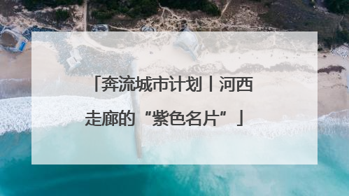奔流城市计划丨河西走廊的“紫色名片”